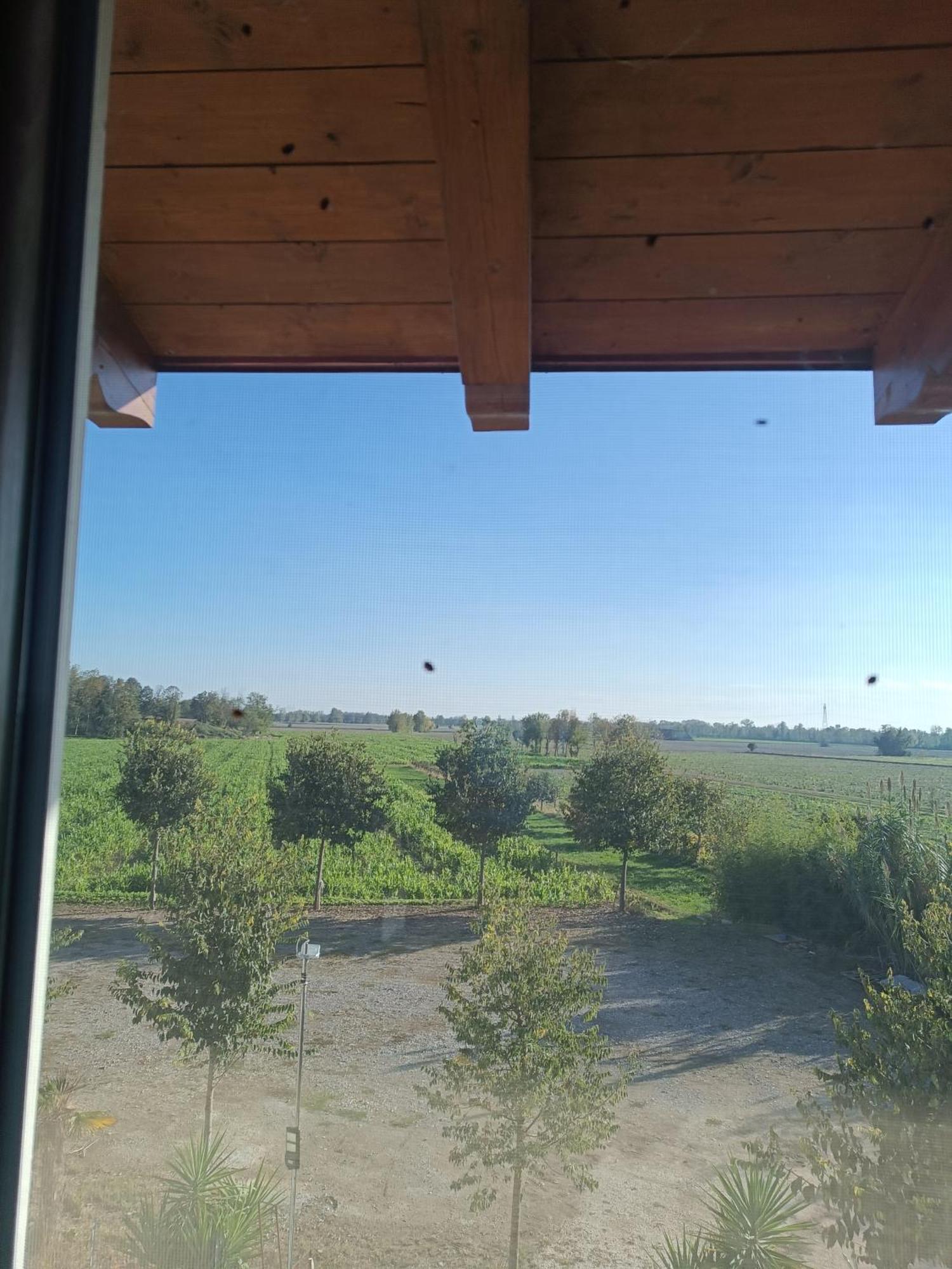 Agriturismo Le Fontanelle Da Valente Montichiari Kültér fotó
