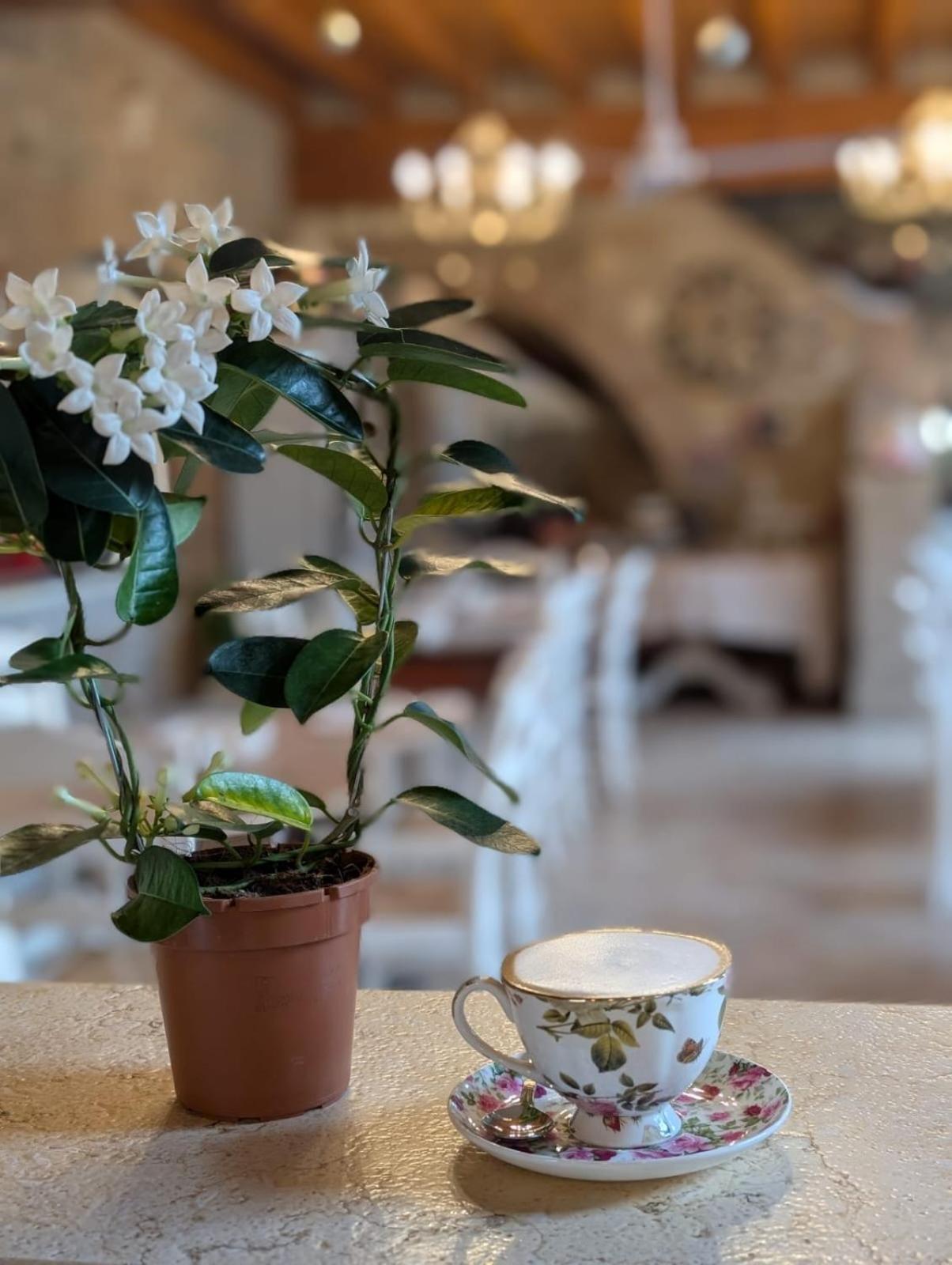 Agriturismo Le Fontanelle Da Valente Montichiari Kültér fotó